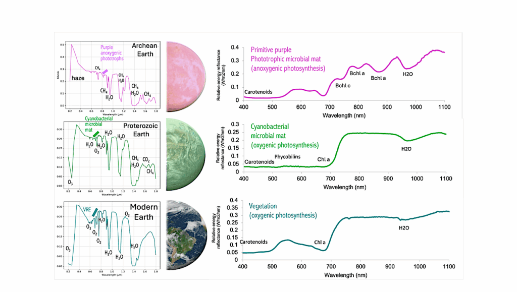 Habitable Worlds Observatory Living Worlds Working Group: Surface Biosignatures on Potentially Habitable Exoplanets
