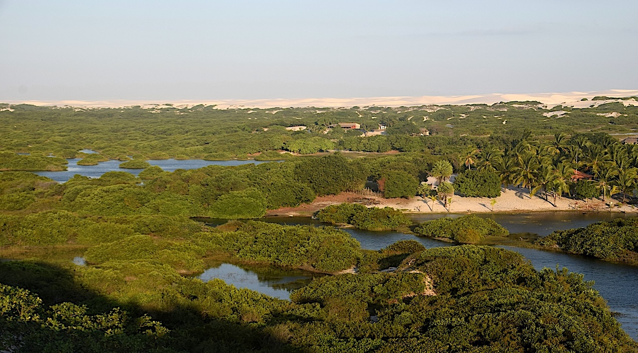 Halotolerant Bacteria From Mangrove And Restinga Ecosystems In Camocim, Brazil: Astrobiological Relevance And Biotechnological Potential