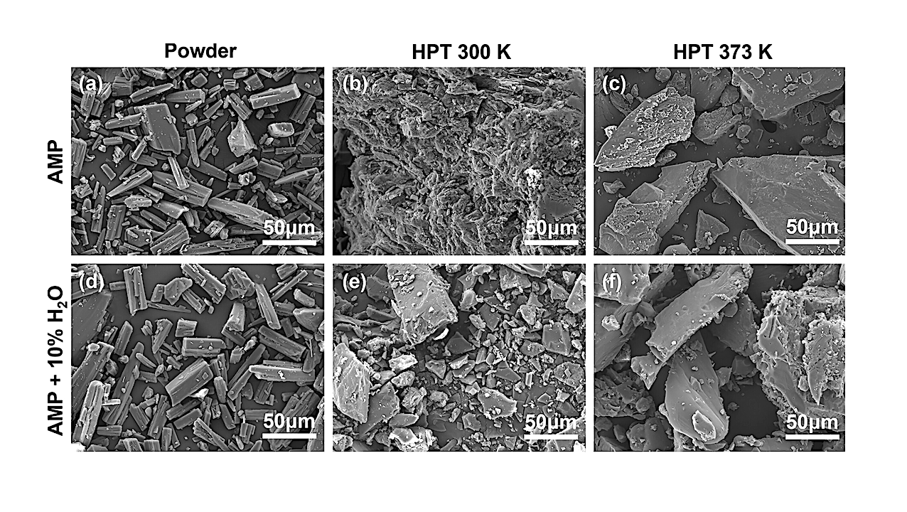 High-Pressure Torsion-Induced Transformation of Adenosine Monophosphate: Insights into Prebiotic Chemistry of RNA by Astronomical Impacts