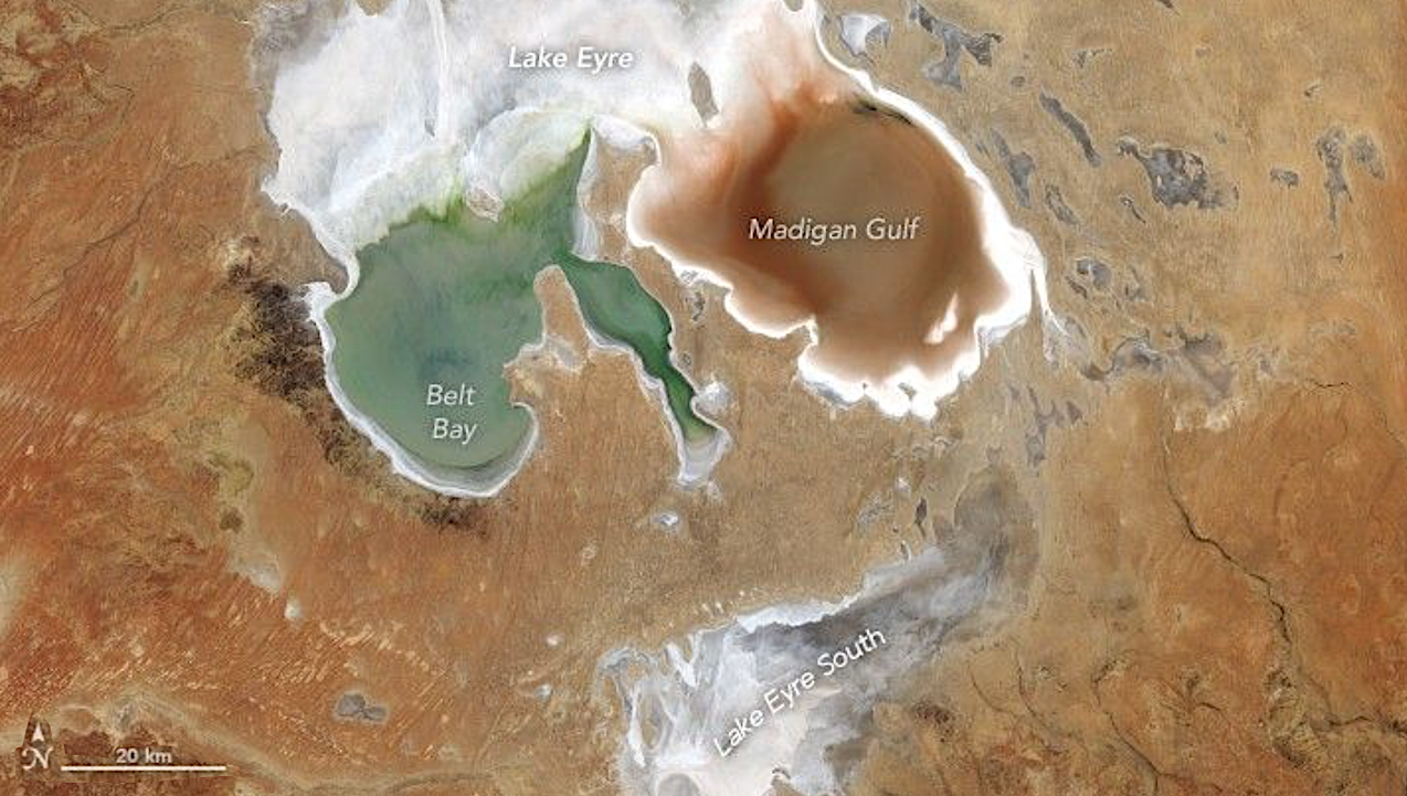 Orbital Biosignature Assay: Lake Eyre