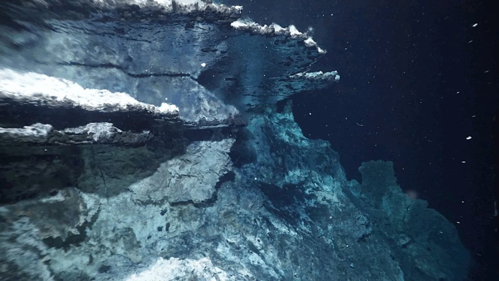 Organic Carbon In A Submarine Pressure Cooker