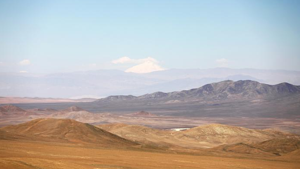 Organisms In The Atacama Desert Soil Are Remarkably Diverse