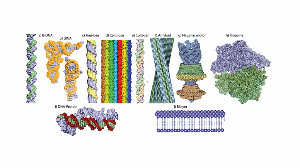 Origins Of Life: Chemistry And Evolution