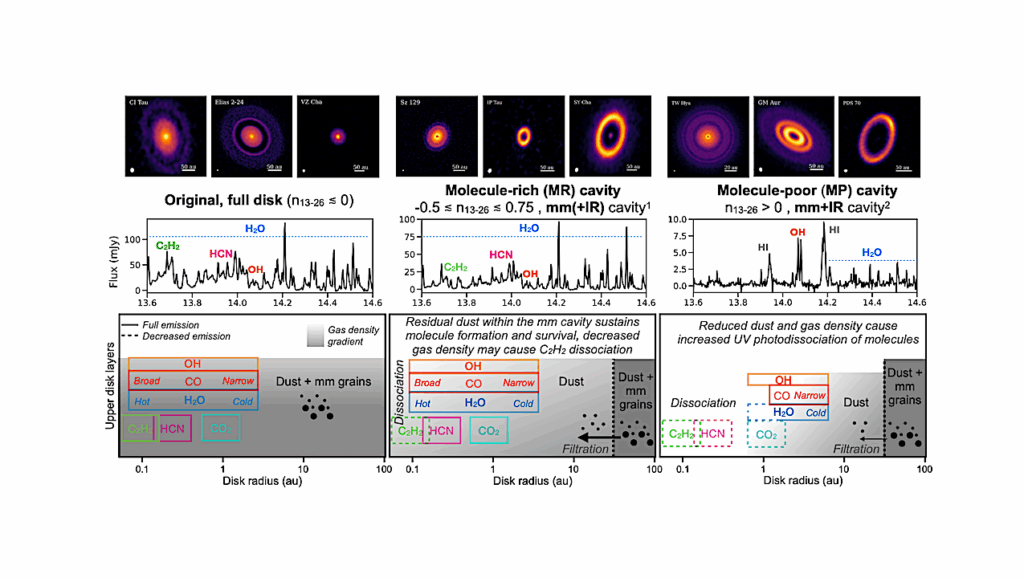 Protoplanetary Disk Cavities With JWST-MIRI: A Dichotomy In Molecular Emission