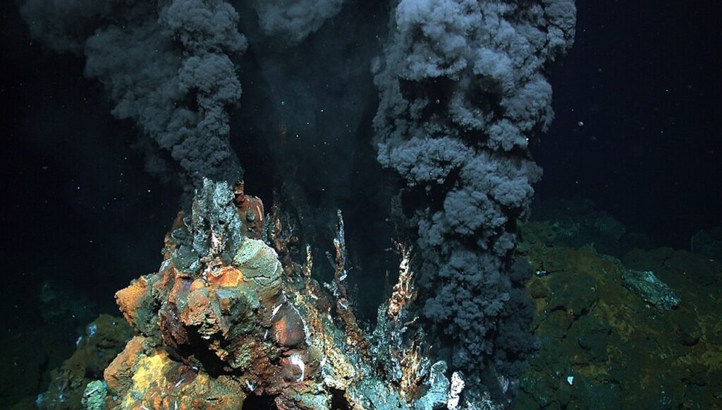 The (Metabolic) Cost Of Life