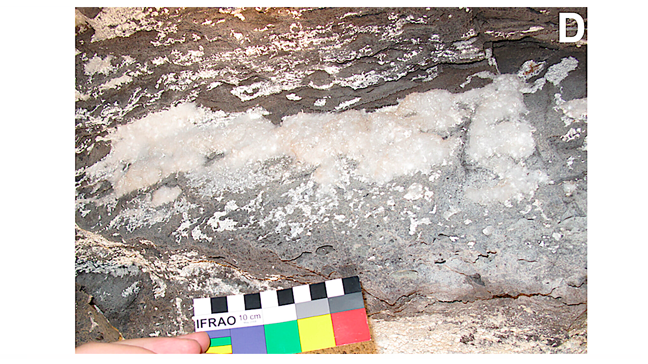 The Microbial Inhabitants of the Corona Lava Tube: Astrobiological Insights from a Mars Analog Environment