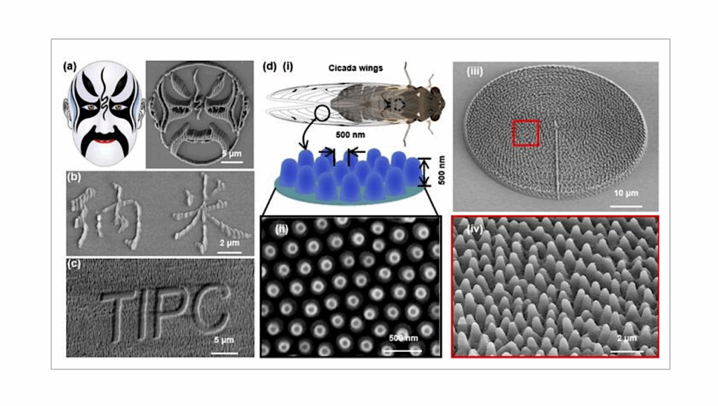 When Light Teaches Materials To Self-organize: Writing Nature-like 3D Nanowrinkles