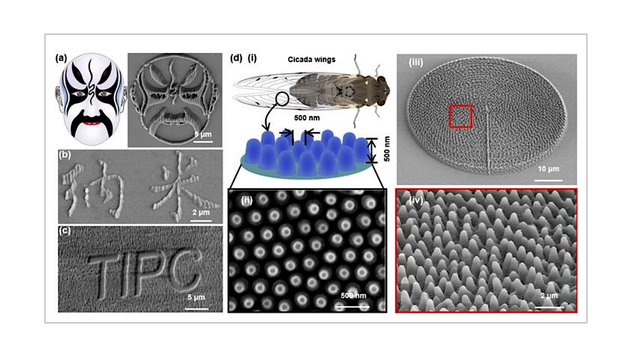 When Light Teaches Materials To Self-organize: Writing Nature-like 3D Nanowrinkles