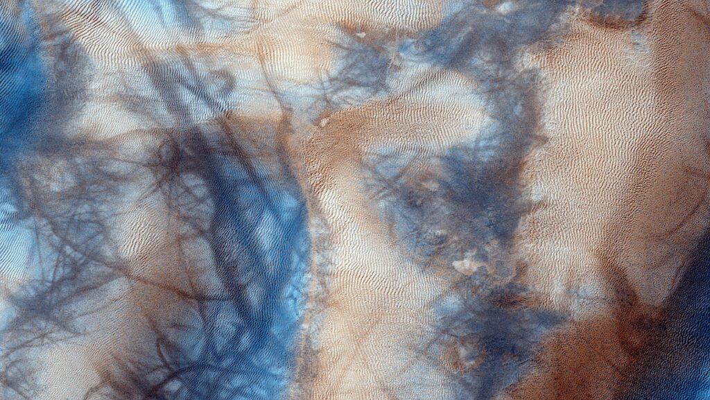 Active High-Latitude Dune-Gullies On Mars