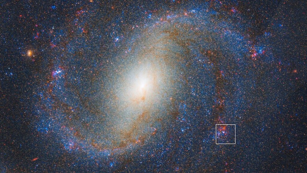 Astrochemistry: JWST Locates Supernova Progenitor Was Surrounded By Carbon-rich Dust
