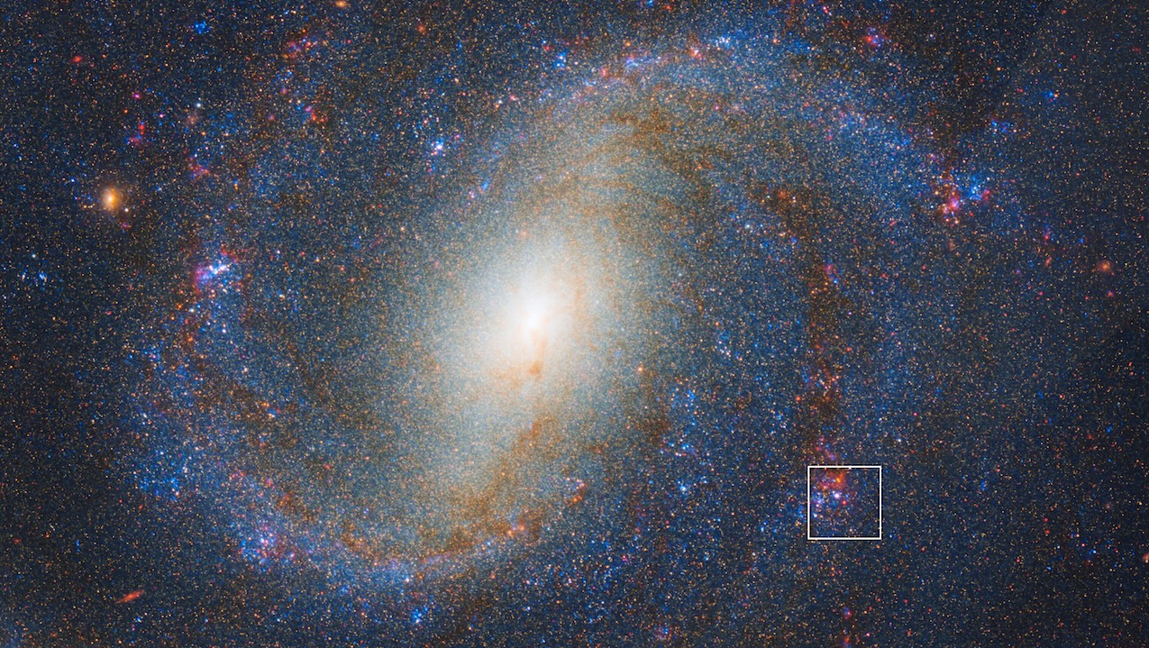 Astrochemistry: JWST Locates Supernova Progenitor Was Surrounded By Carbon-rich Dust