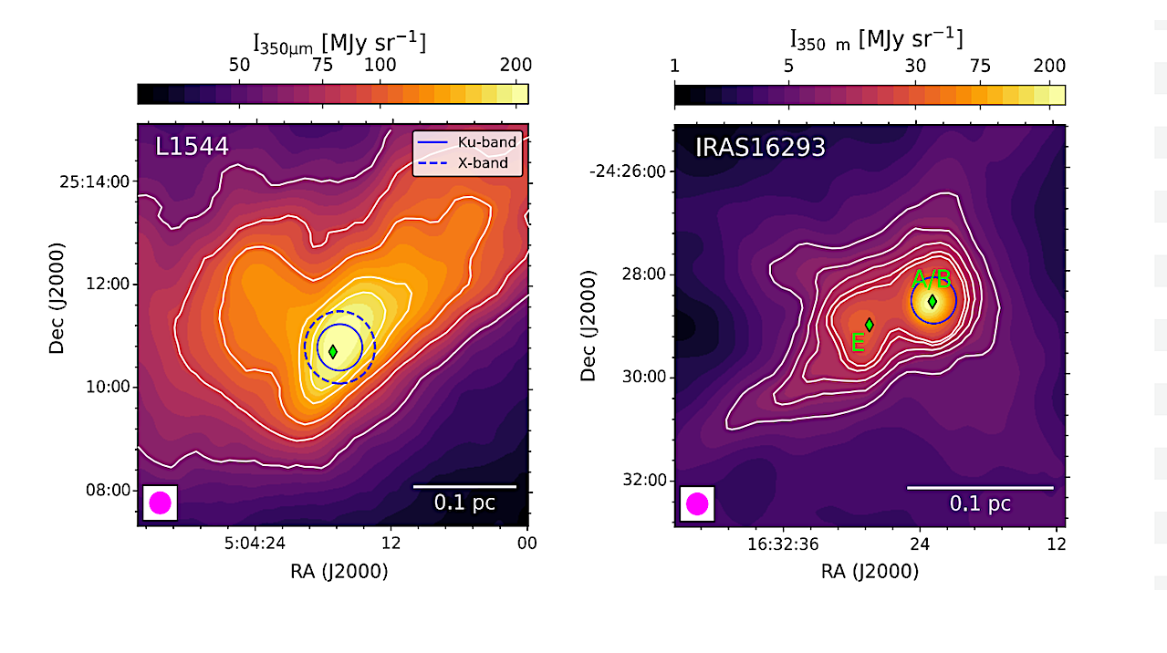 Carbon Chain Diversity In L1544 And IRAS 16293-2422: An Astrochemical Pathfinder Study For The SKAO