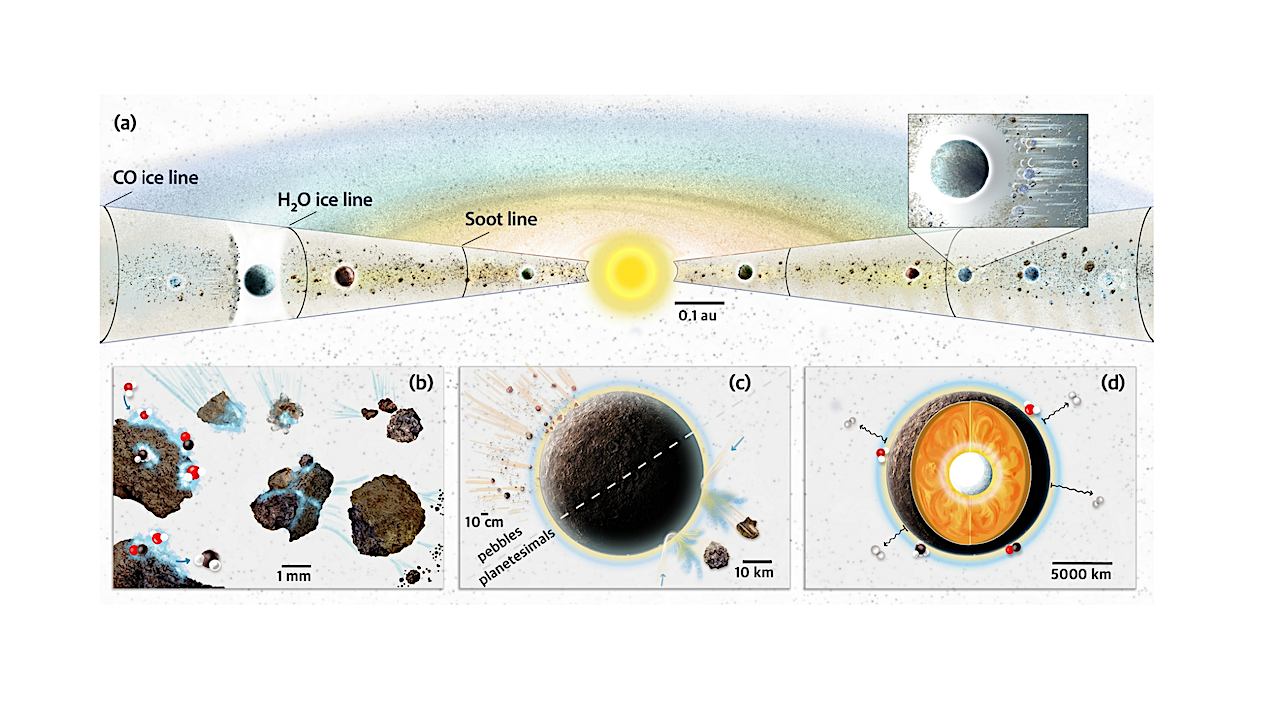 Carbon From Interstellar Clouds To Habitable Worlds