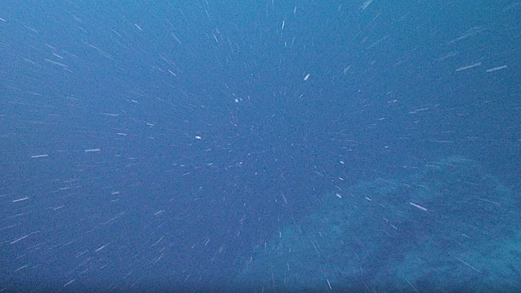 Deep-sea Microbes Get An Unexpected Energy Boost