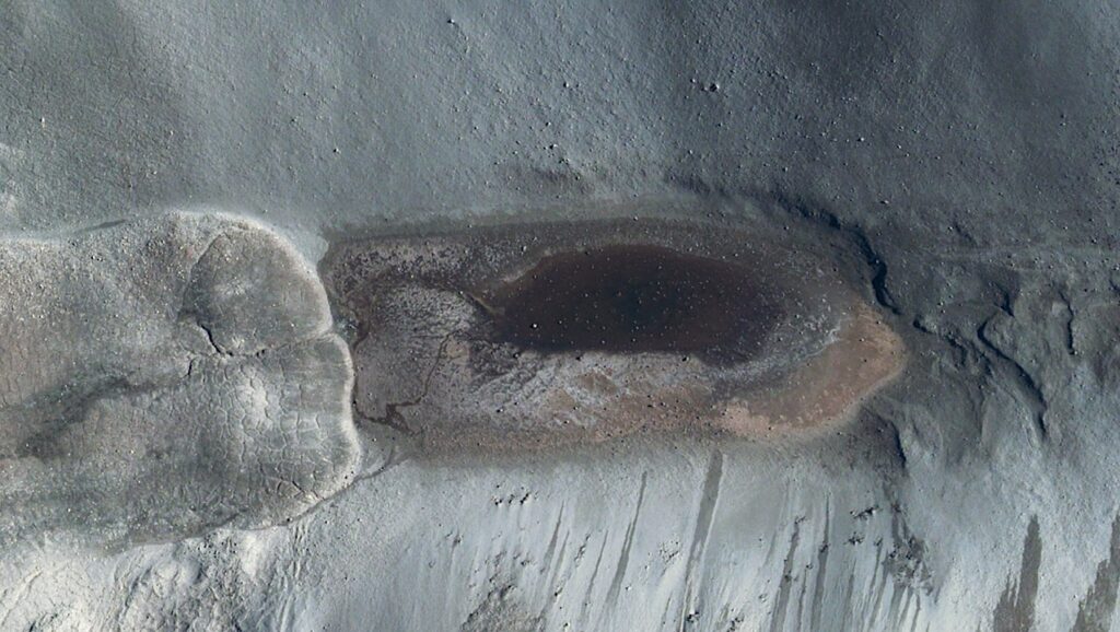 Draft Genomes Of Three Abundant Bacterial Isolates From Hypersaline Don Juan Pond, Antarctica