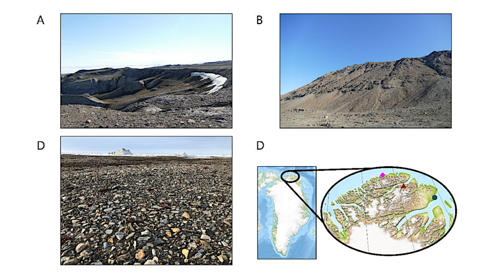 Genomic Adaptations Of Novel Halotolerant Bacteria From Extreme North Greenland
