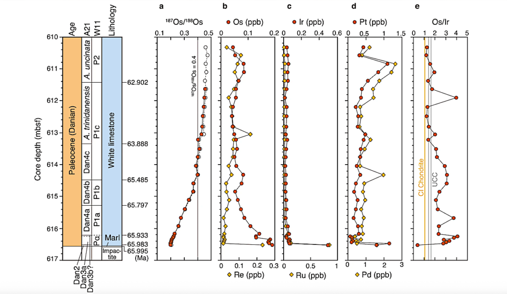 Hydrothermal System Helped Life Recover After Dino-Killing Asteroid