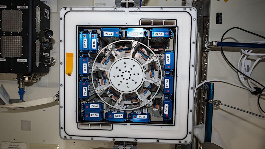 Microbial Biomining From Asteroidal Material Onboard The International Space Station