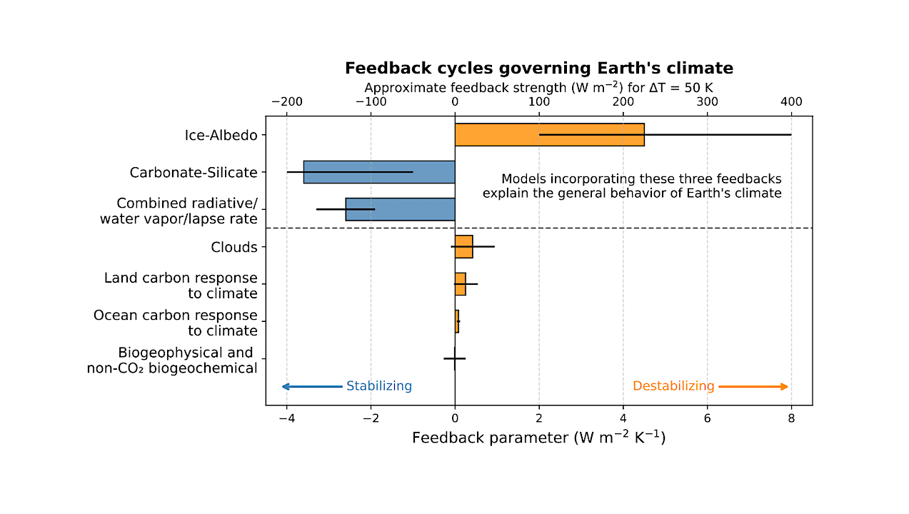 Not Earth-like Yet Temperate? More Generic Climate Feedback Configurations Still Allow Temperate Climates in Habitable Zone Exo-Earth Candidates