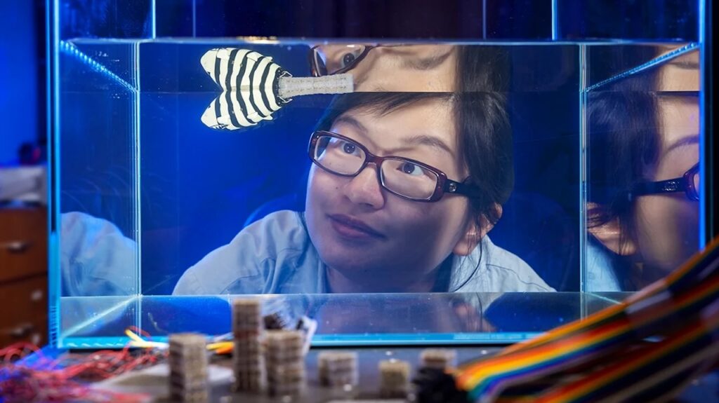 Programmable Lego-like Material Emulates Life’s Flexibility