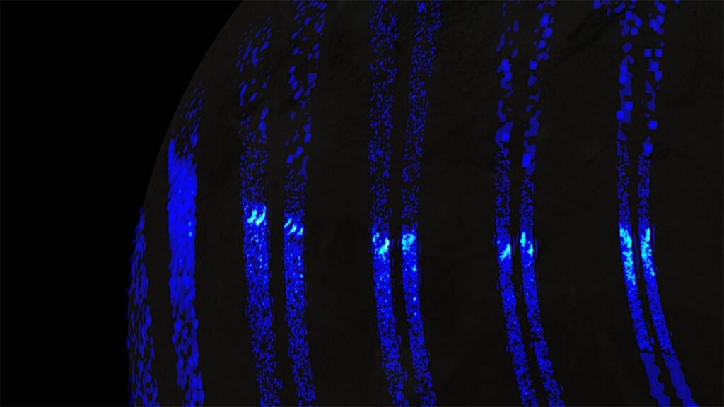 Similarities Between Auroras On Ganymede And Earth