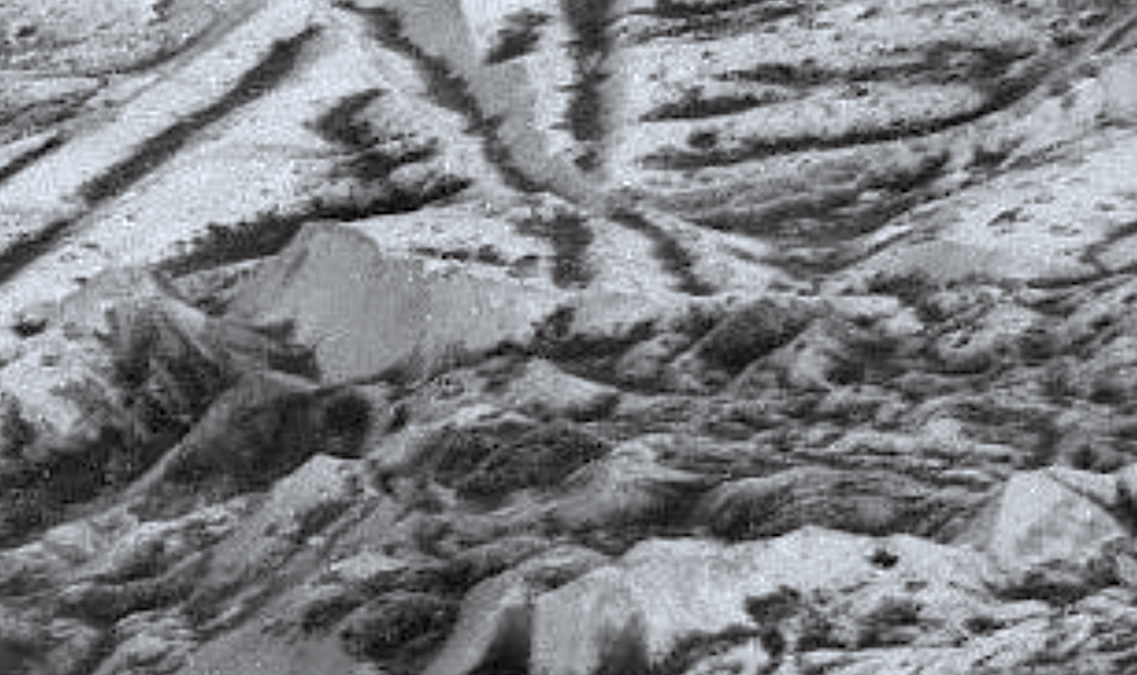 Survival Limits Of Psychrotolerant Microorganisms With Relevance For Planetary Protection Of The Icy Moons