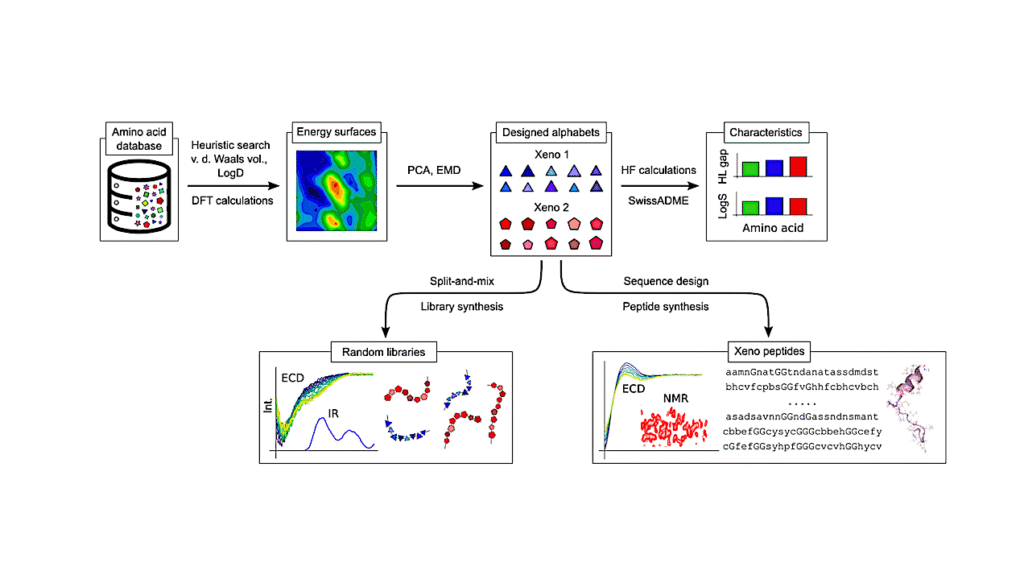 Xeno Amino Acid Alphabets Form Peptides With Familiar Secondary Structure