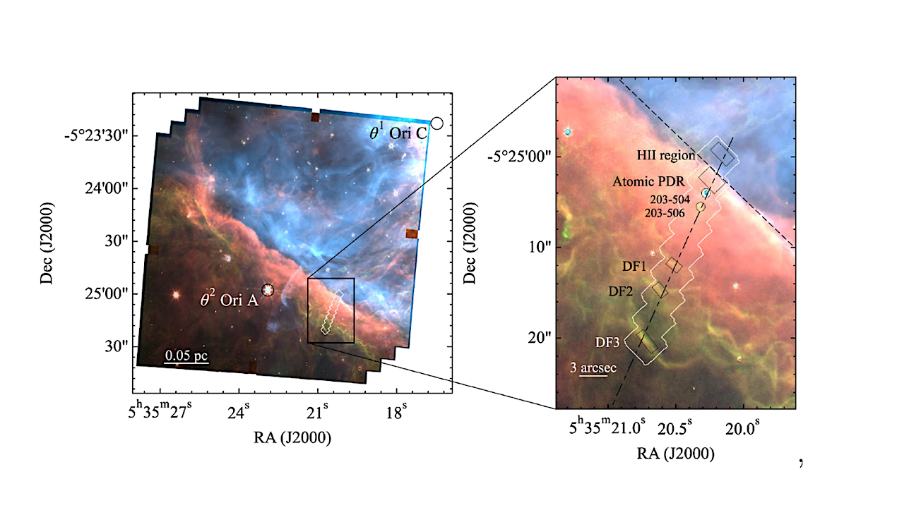 Aromatic Species In The Molecular Universe