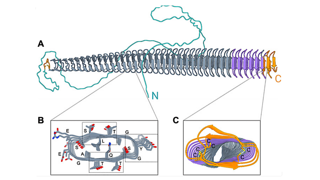 Fungal Species Discovered With The Ability To Freeze Water