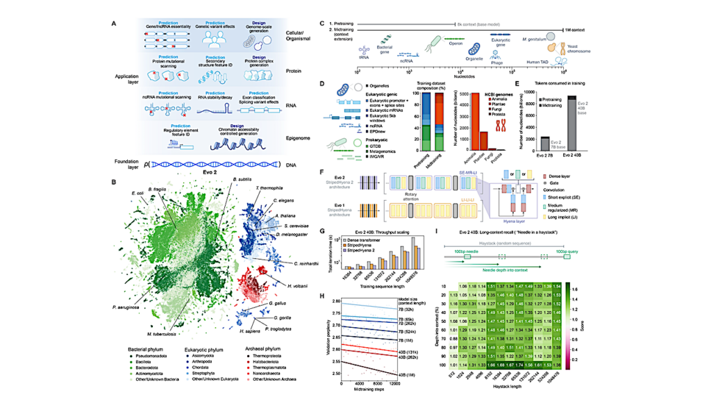 Genome Modeling And Design Across All Domains Of Life With Evo 2