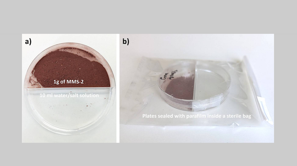 Growth Of Microorganisms In A Martian Regolith Simulant At Reduced Water Activity