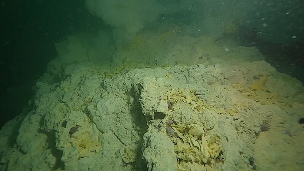 How Microbes Use Earth’s Ancient Carbon