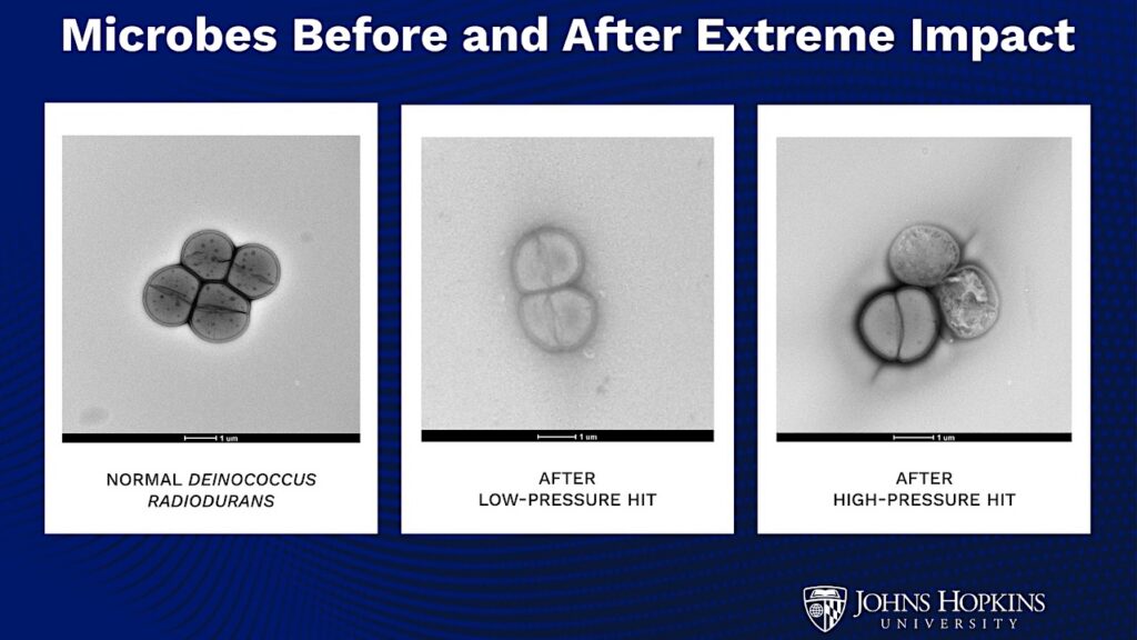 Life Forms Can Planet Hop On Asteroid Debris – And Survive
