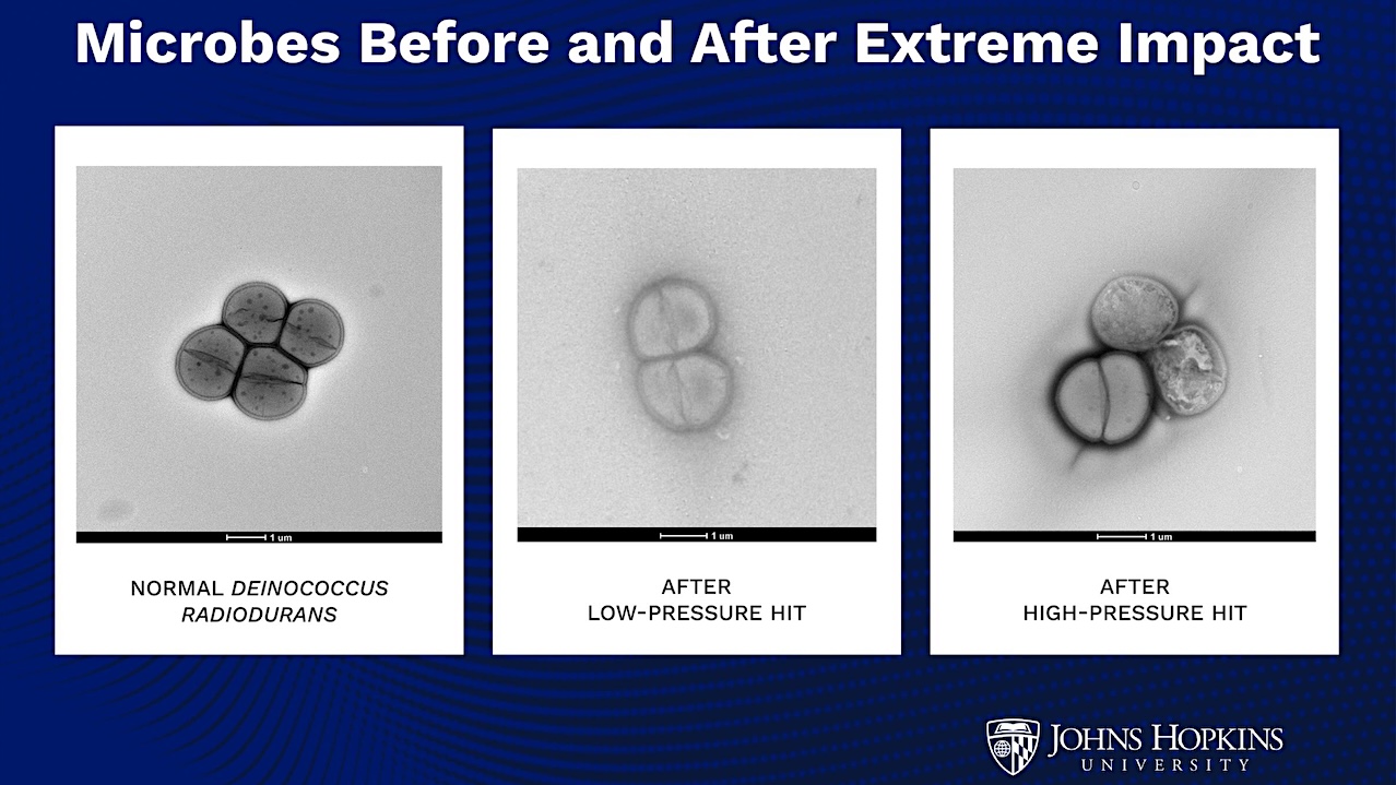 Life Forms Can Planet Hop On Asteroid Debris – And Survive