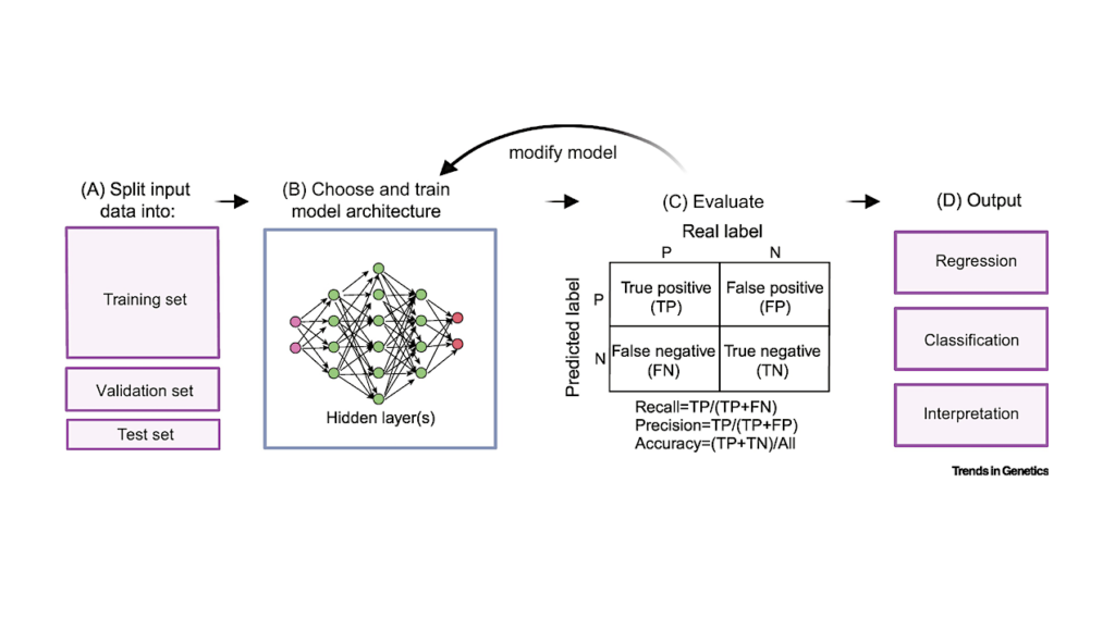 Machine Learning For Evolutionary Genetics And Molecular Evolution