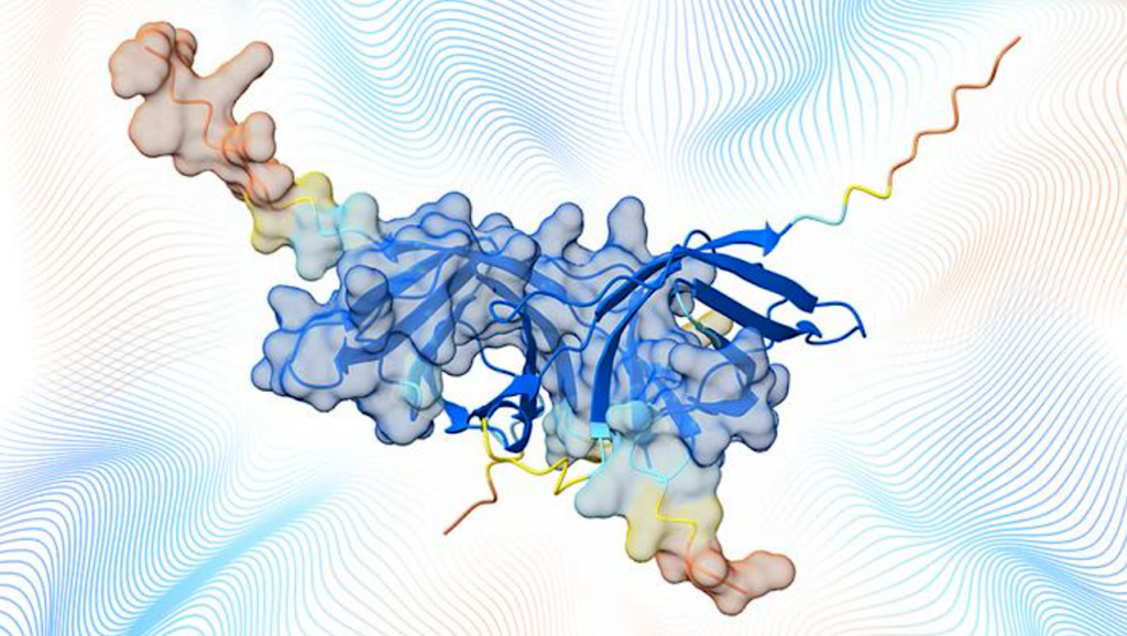 Millions Of Protein Complexes Added To AlphaFold Database Shed Light On How Proteins Interact