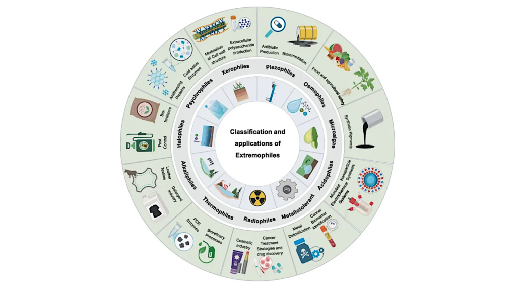 Molecular Adaptations And Engineering Of Extremophiles For Synthetic Biology And Biotechnological Applications