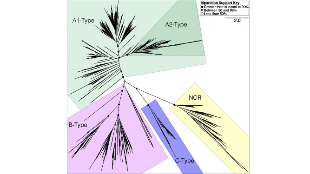 Molecular Clock Evidence For An Archean Diversification Of Heme-copper Oxygen Reductase Enzymes