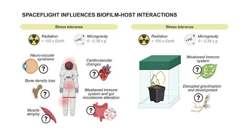 NASA Volunteers Study Biofilm Adaptability in Space