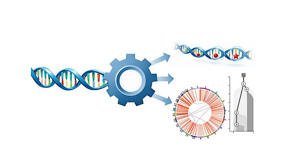 New Computational Biology Tool Automates And Standardizes Genome Sequencing Analysis