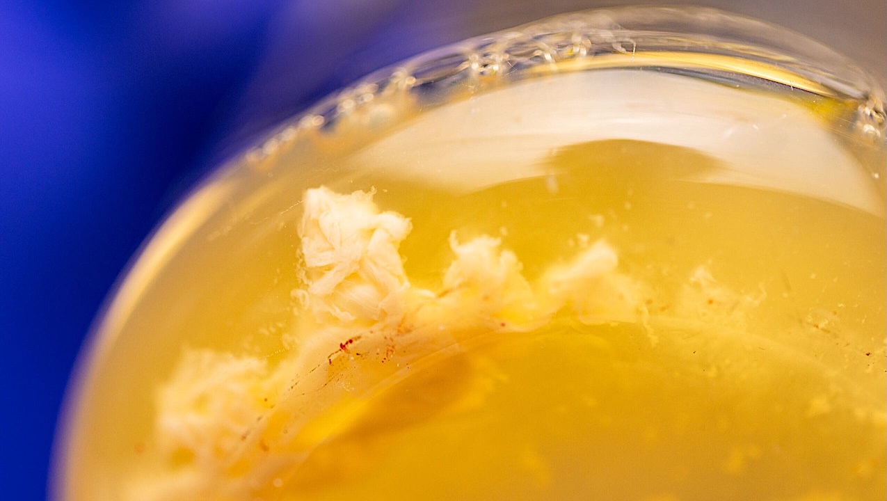 Rethinking The Microbial Future of Space Travel