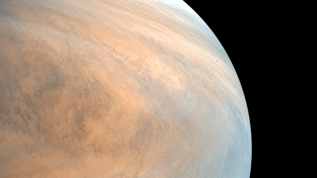 Stability and Reactivity of Alternative Nucleobases in Concentrated Sulfuric Acid.