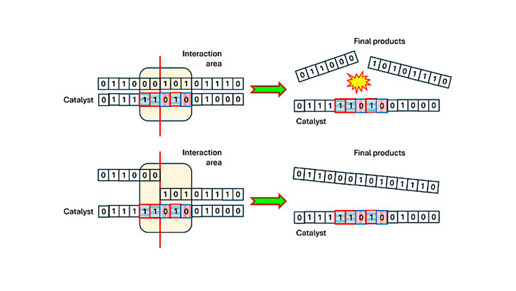 Template-Based Catalysis and the Emergence of Collectively Autocatalytic SystemsEntropy