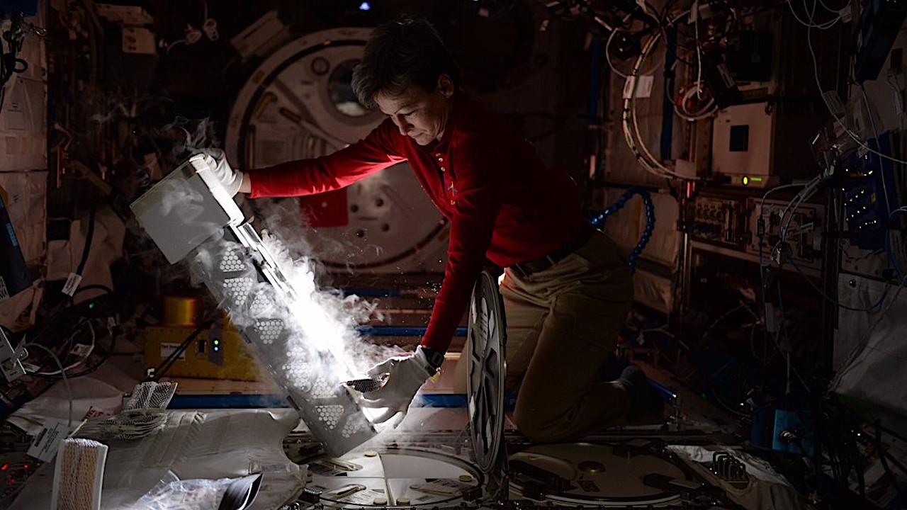 NASA Spaceline Current Awareness List #1,192 20 March 2026 (Space Life Science Research Results)