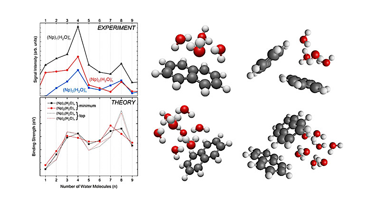 Cluster Anions of Hydrated Polycyclic Aromatic Hydrocarbons: “Magic” Water Tetramer