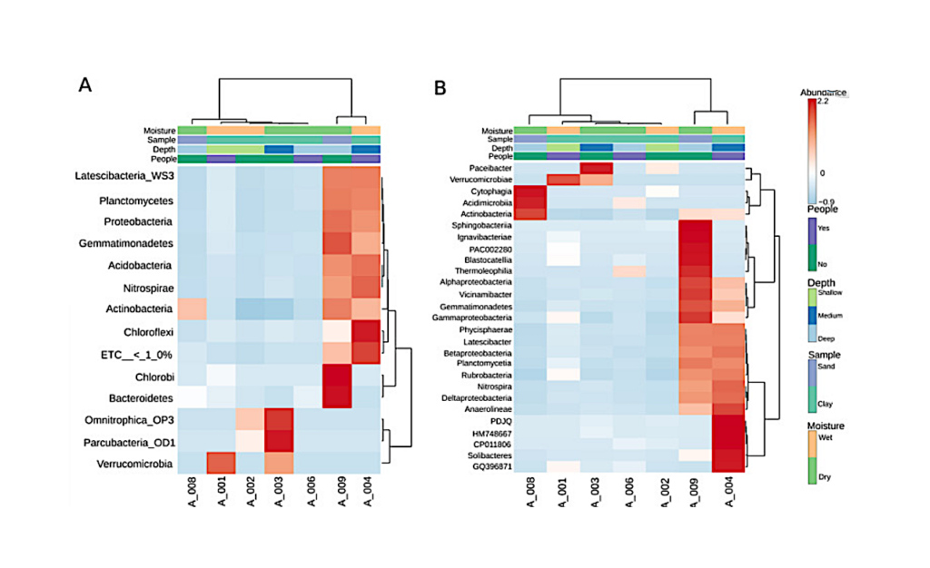 Evaluation Of The Bacterial Diversity In The World’s Deepest Cave—Veryovkina, Arabika Massif, Western Caucasus