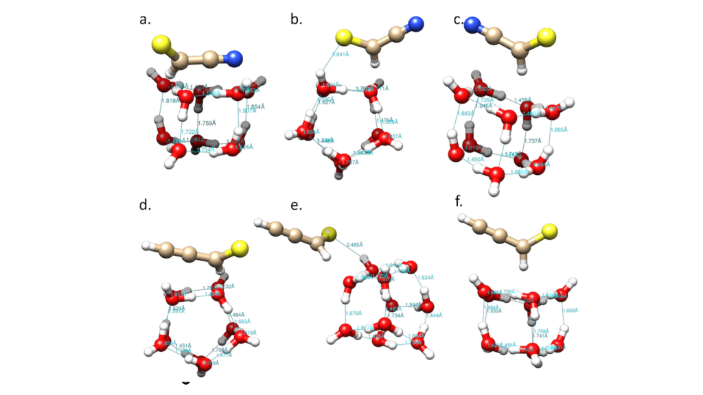 Ice as a Photochemical Shield: Adsorption Energetics and Spectroscopic Modulation of Interstellar Thiocyanates HCSCN and HCSCCH in TMC-1