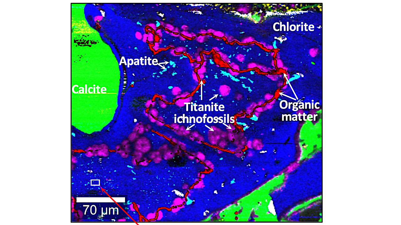 Ichnofossils in Volcanic Glass From Palaeoproterozoic Hydrothermal Vents Were Burrowed By Microorganisms Probably Seeking Phosphate