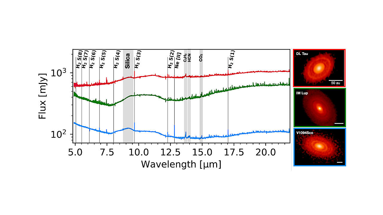 MINDS: Intertwined Evolution Of Dust And Gas In Large Planet-forming Disks. A Diversity Driven By Halted Pebble Drift?