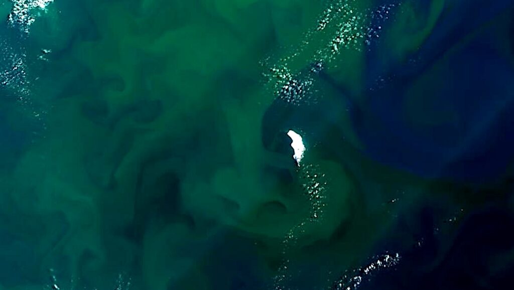 Orbital Biosignature Assay: Antarctica’s Vanishing Sea Ice Transforms Marine Life